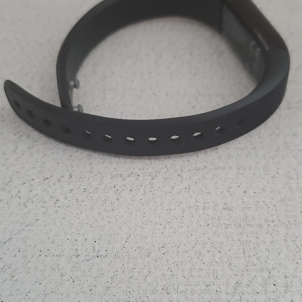 MAX BUZZ FITBIT